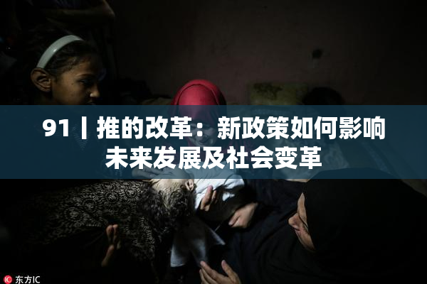 91丨推的改革：新政策如何影响未来发展及社会变革