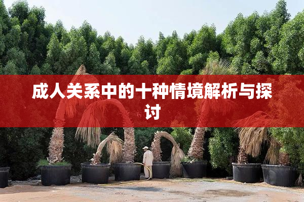成人关系中的十种情境解析与探讨