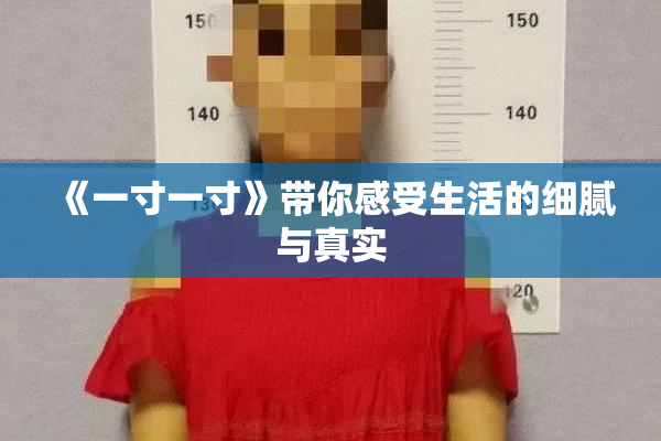 《一寸一寸》带你感受生活的细腻与真实