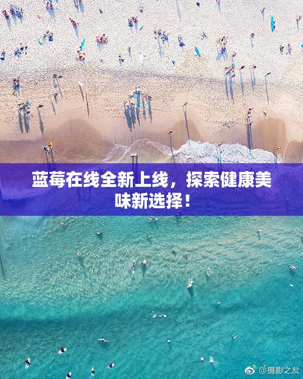 蓝莓在线全新上线，探索健康美味新选择！