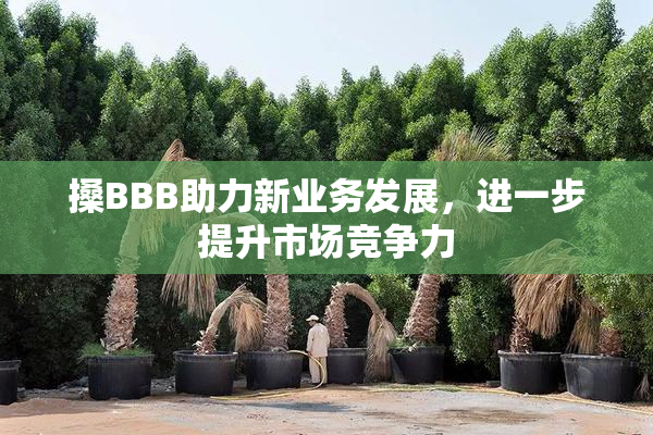 搡BBB助力新业务发展，进一步提升市场竞争力