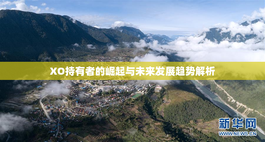 XO持有者的崛起与未来发展趋势解析