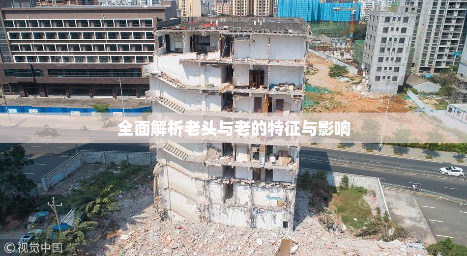 全面解析老头与老的特征与影响