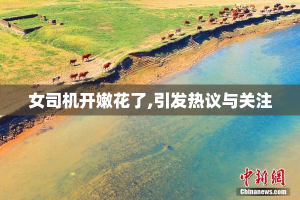 女司机开嫩花了,引发热议与关注