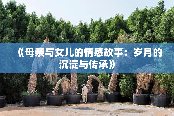 《母亲与女儿的情感故事：岁月的沉淀与传承》