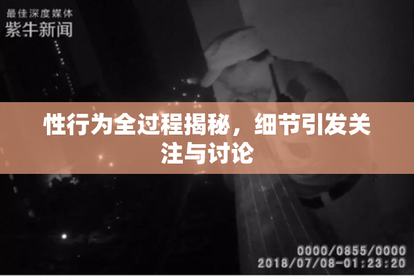 性行为全过程揭秘，细节引发关注与讨论