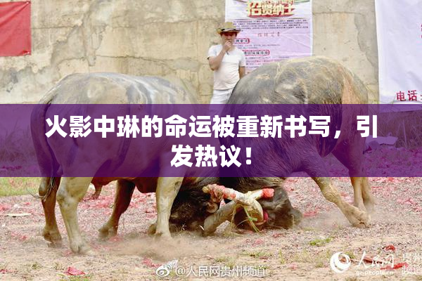 火影中琳的命运被重新书写，引发热议！