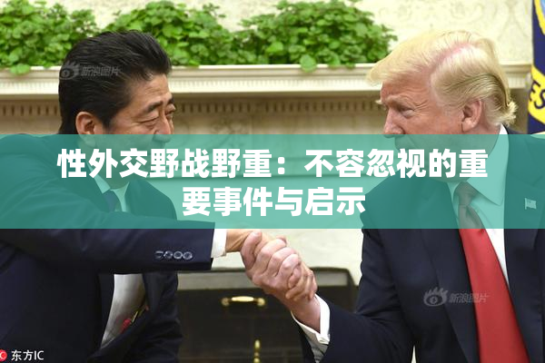 性外交野战野重：不容忽视的重要事件与启示