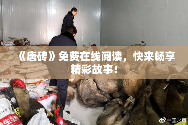 《唐砖》免费在线阅读，快来畅享精彩故事！