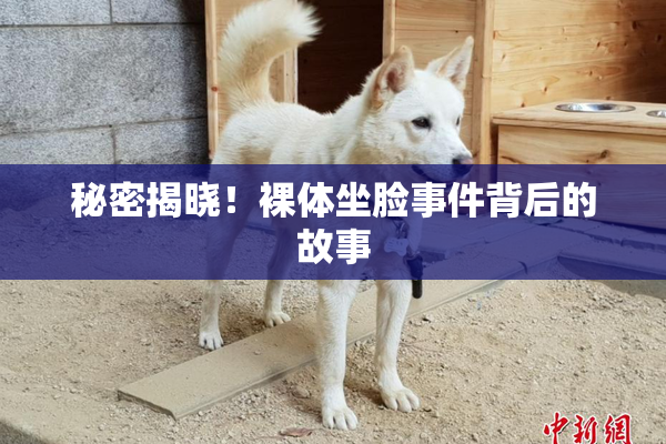 秘密揭晓！裸体坐脸事件背后的故事