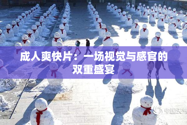 成人爽快片：一场视觉与感官的双重盛宴