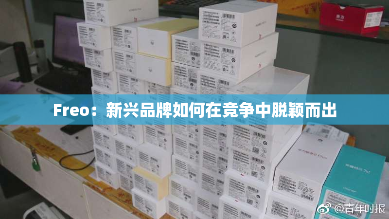 Freo：新兴品牌如何在竞争中脱颖而出
