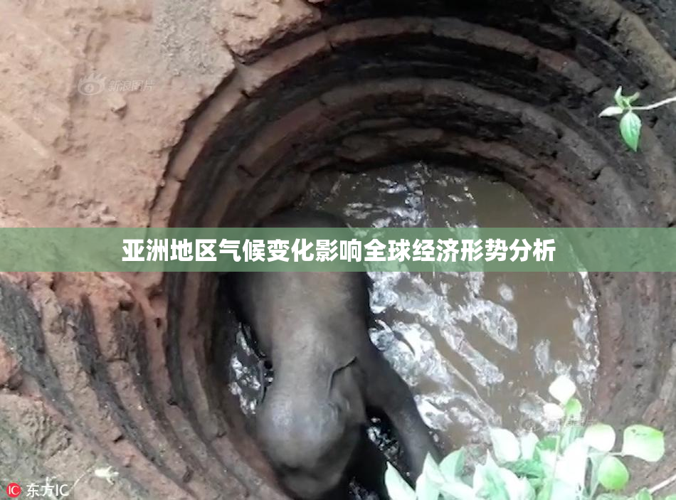 亚洲地区气候变化影响全球经济形势分析