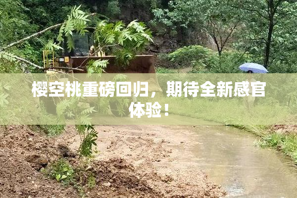 樱空桃重磅回归，期待全新感官体验！