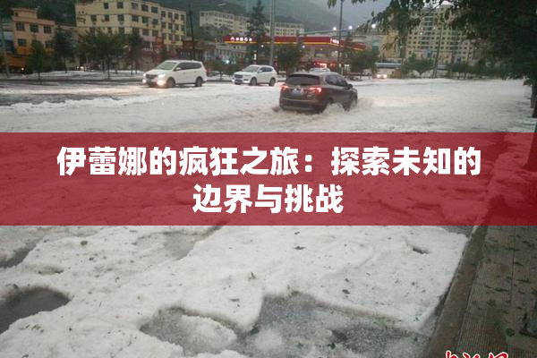 伊蕾娜的疯狂之旅：探索未知的边界与挑战