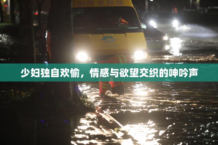 少妇独自欢愉，情感与欲望交织的呻吟声