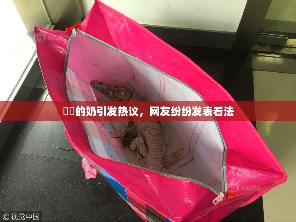 妺妺的奶引发热议，网友纷纷发表看法