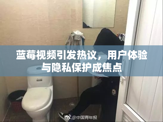 蓝莓视频引发热议，用户体验与隐私保护成焦点