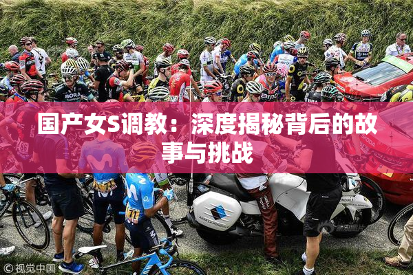 国产女S调教：深度揭秘背后的故事与挑战