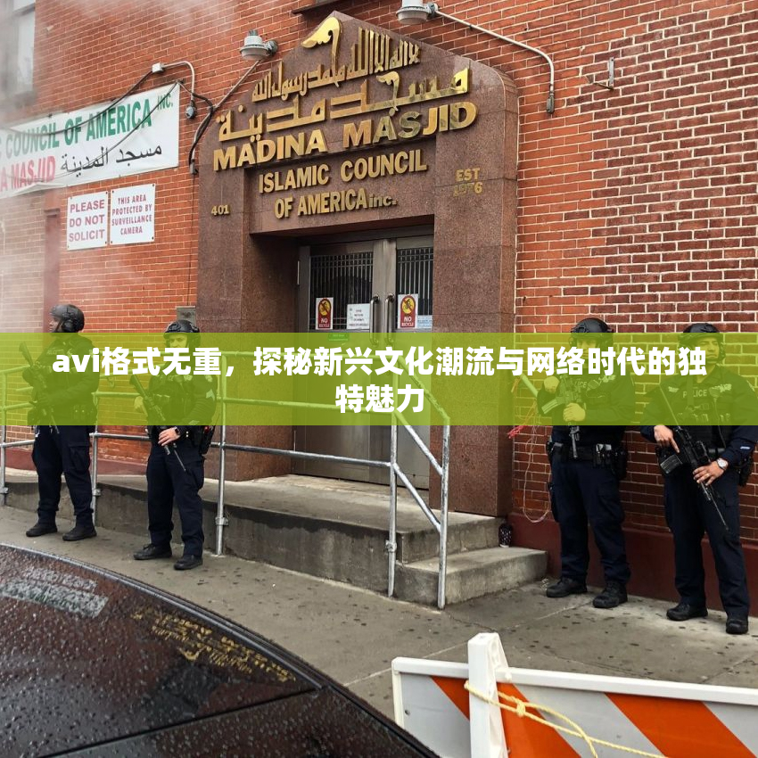 avi格式无重，探秘新兴文化潮流与网络时代的独特魅力