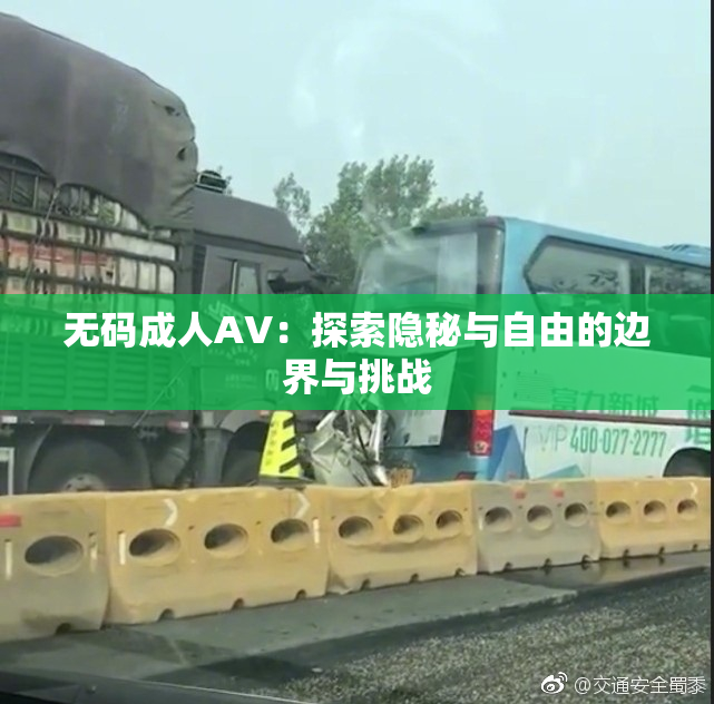 无码成人AV：探索隐秘与自由的边界与挑战