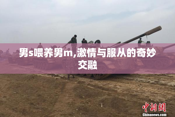 男s喂养男m,激情与服从的奇妙交融