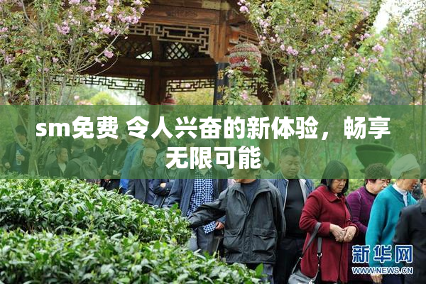 sm免费 令人兴奋的新体验，畅享无限可能