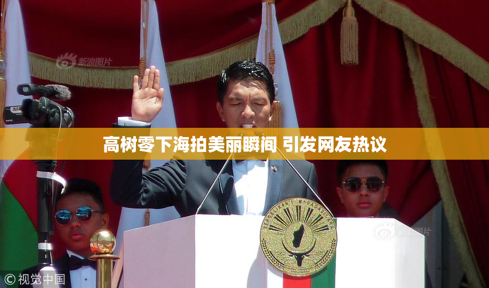 高树零下海拍美丽瞬间 引发网友热议