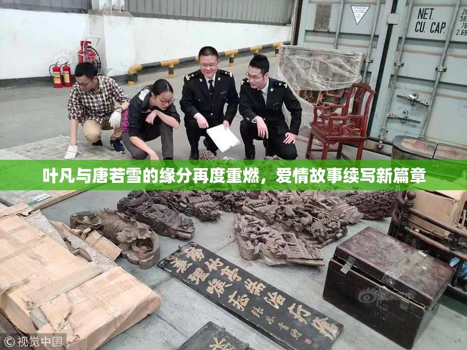 叶凡与唐若雪的缘分再度重燃，爱情故事续写新篇章