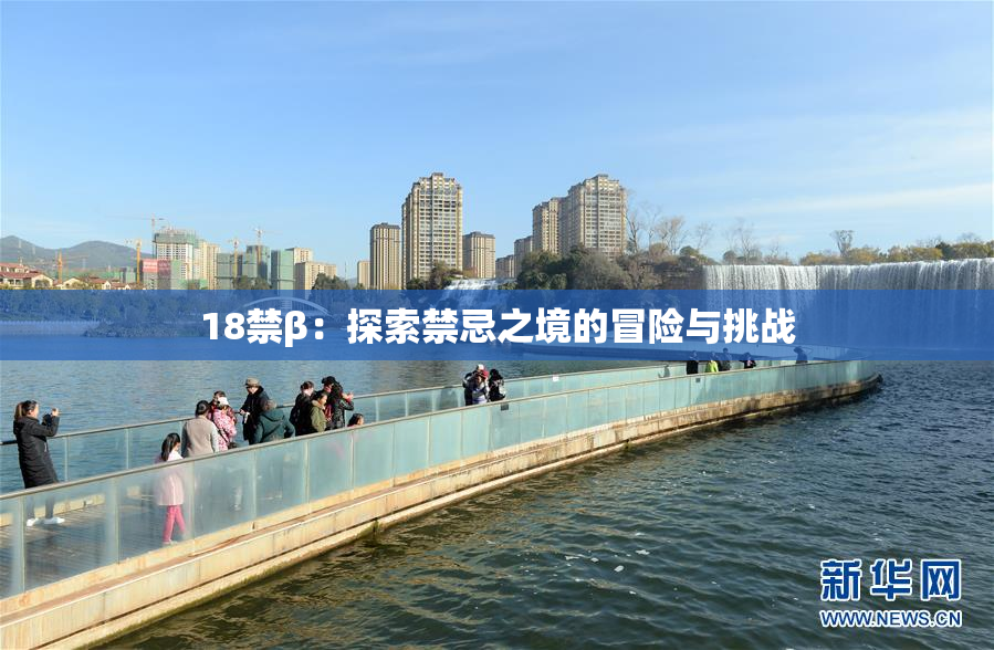 18禁β：探索禁忌之境的冒险与挑战