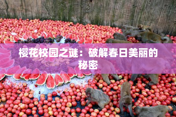 樱花校园之谜：破解春日美丽的秘密