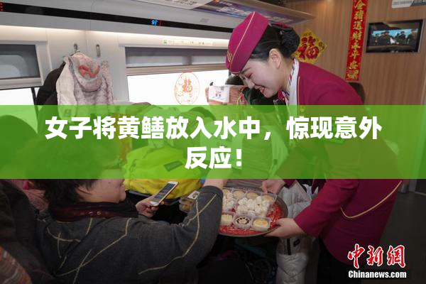 女子将黄鳝放入水中，惊现意外反应！