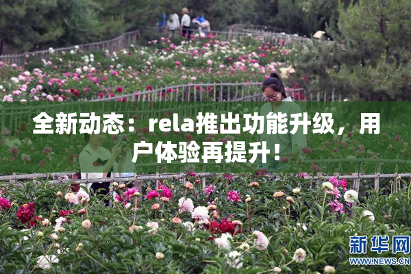 全新动态：rela推出功能升级，用户体验再提升！