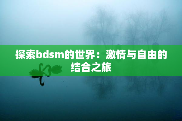 探索bdsm的世界：激情与自由的结合之旅