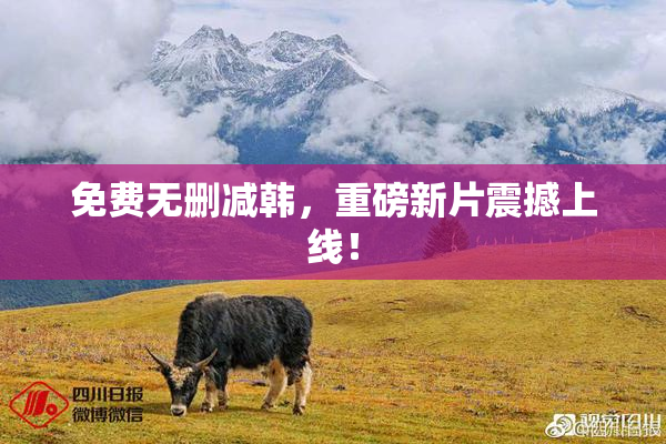 免费无删减韩，重磅新片震撼上线！