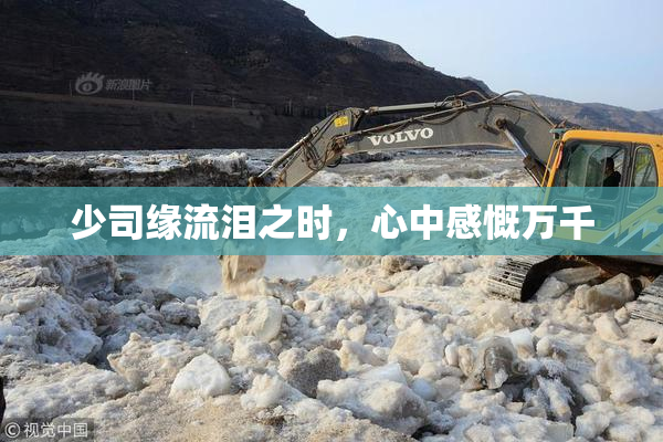 少司缘流泪之时，心中感慨万千
