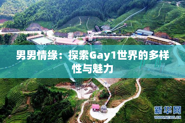 男男情缘：探索Gay1世界的多样性与魅力
