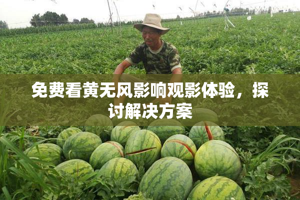 免费看黄无风影响观影体验，探讨解决方案