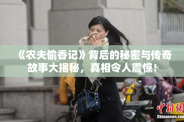 《农夫偷香记》背后的秘密与传奇故事大揭秘，真相令人震惊！