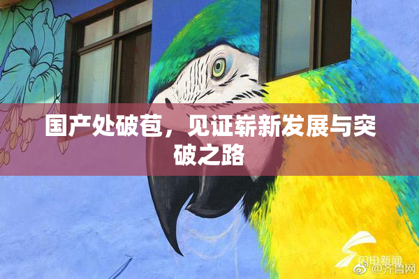 国产处破苞，见证崭新发展与突破之路