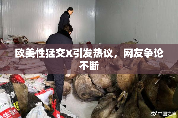 欧美性猛交X引发热议，网友争论不断