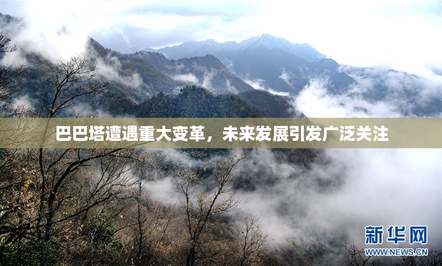 巴巴塔遭遇重大变革，未来发展引发广泛关注