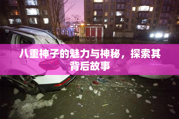 八重神子的魅力与神秘，探索其背后故事