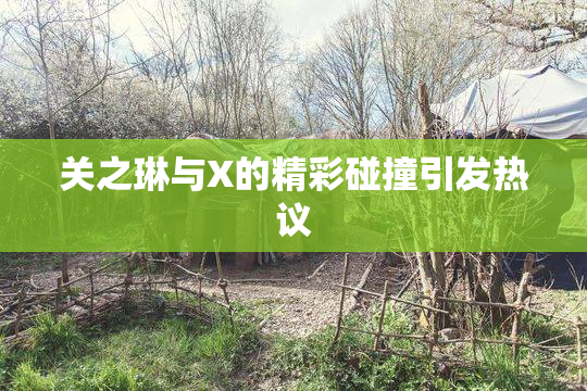 关之琳与X的精彩碰撞引发热议
