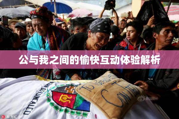 公与我之间的愉快互动体验解析