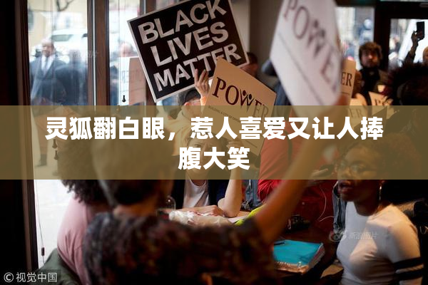 灵狐翻白眼，惹人喜爱又让人捧腹大笑