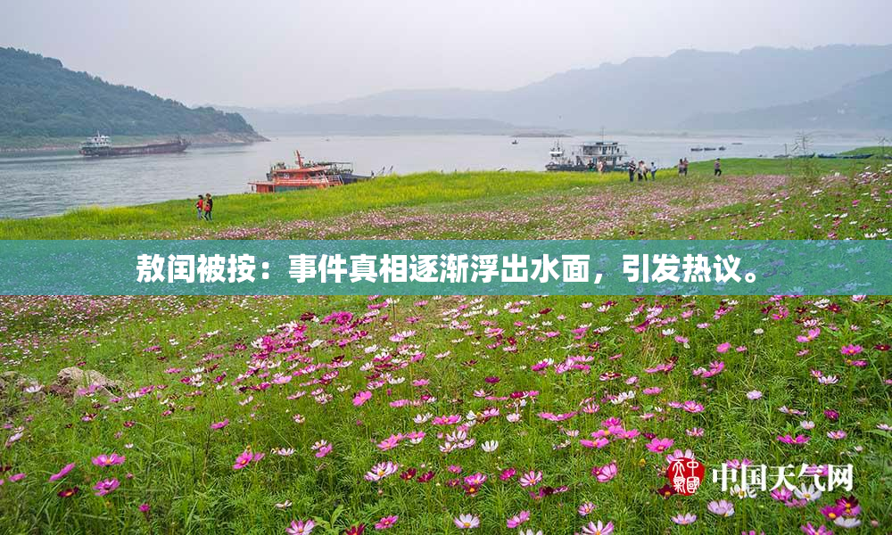 敖闰被按：事件真相逐渐浮出水面，引发热议。