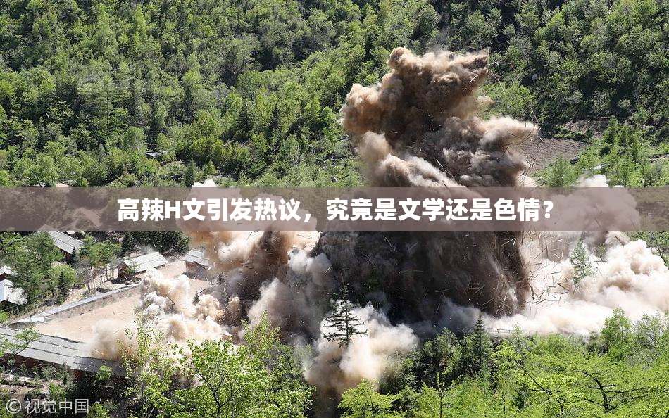 高辣H文引发热议，究竟是文学还是色情？
