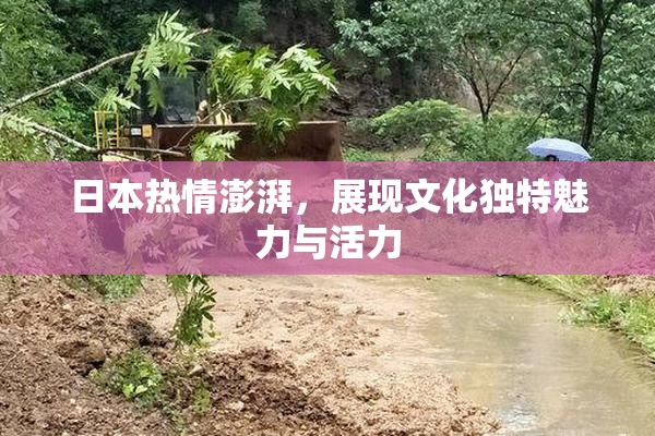 日本热情澎湃，展现文化独特魅力与活力