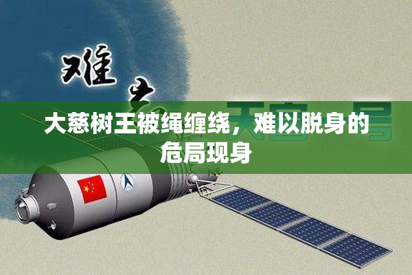 大慈树王被绳缠绕，难以脱身的危局现身
